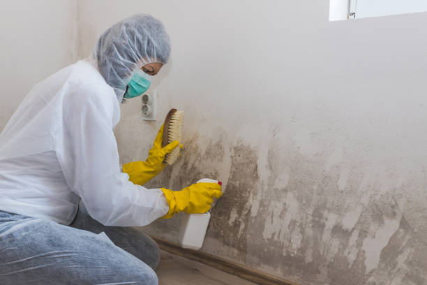 Best HVAC Mold Remediation in Bar Nunn, WY
