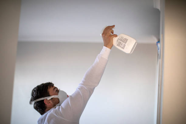 Best DIY Mold Remediation Support Services in Bar Nunn, WY