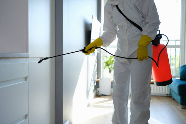 Best Residential Mold Remediation in Bar Nunn, WY