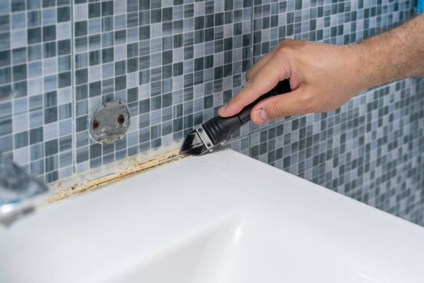 Best Mold Remediation for Schools in Bar Nunn, WY