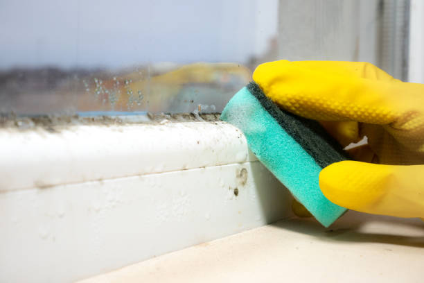 Best Mold Testing and Inspection Services in Bar Nunn, WY