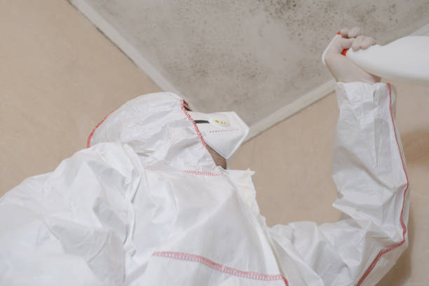 Best Black Mold Remediation in Bar Nunn, WY