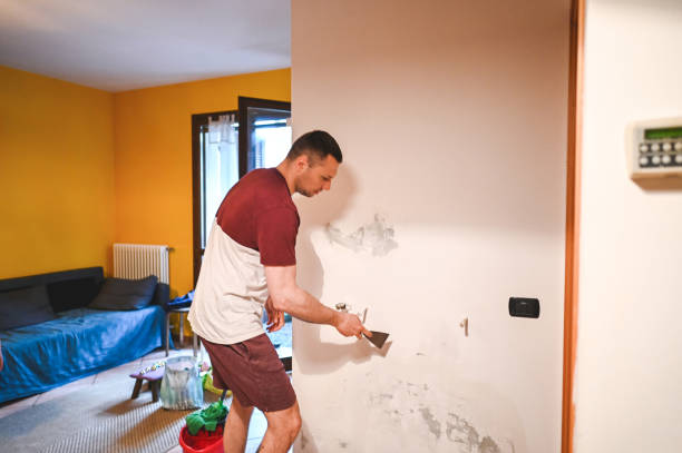 Best Localized Mold Remediation (e.g., coastal areas, humid climates) in Bar Nunn, WY